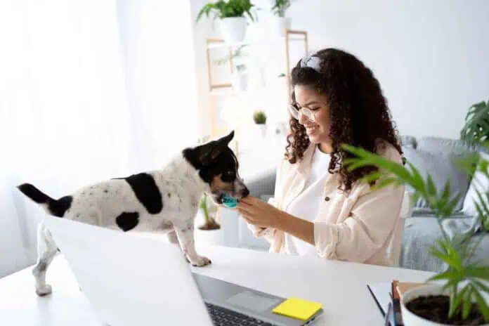 Mundo dos pets começa a influenciar o mercado imobiliário